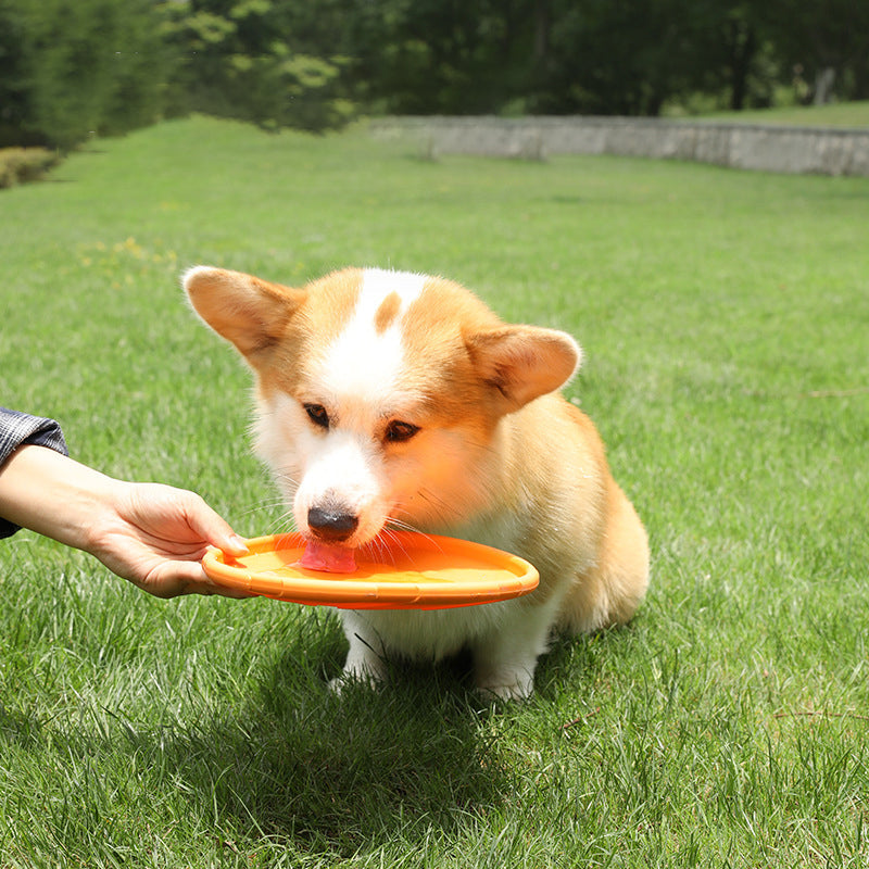 New Dog Frisbee Pet Toys Multi Plate Dog Bite resistant and Floating Training Outdoor Pet Products